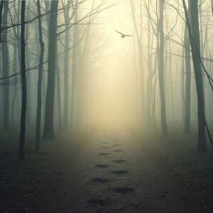 Misty Footsteps 2 Instrumental By Munye Scripts